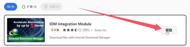 图片[4]-IDM 最新直装激活版：100MB/s 极速下载 无弹窗 安装就用-极客空间站
